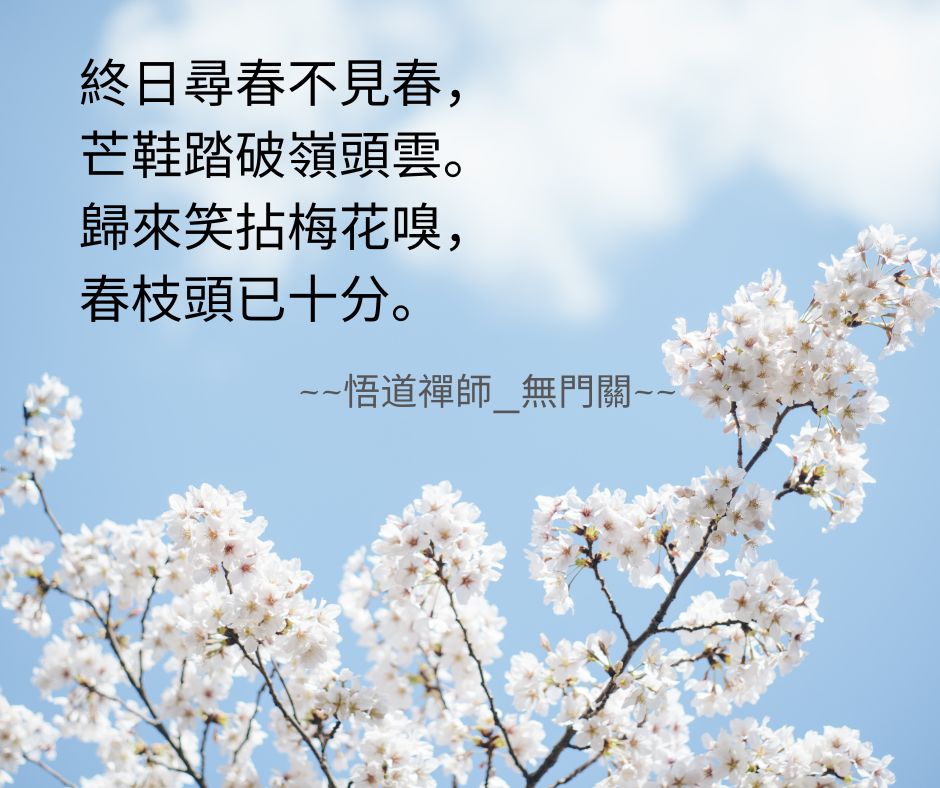 靈性的歸真斷捨離